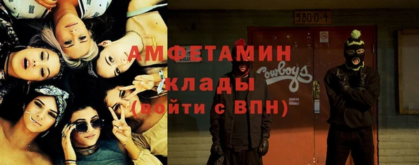 ПСИЛОЦИБИНОВЫЕ ГРИБЫ Вязьма
