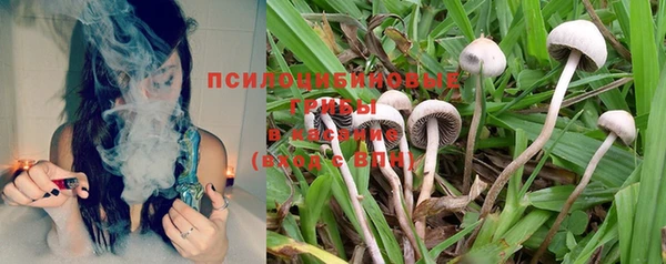каннабис Вяземский